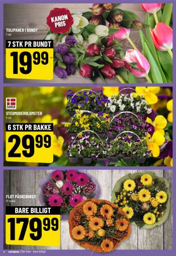 thumbnail - Blomster og planter
