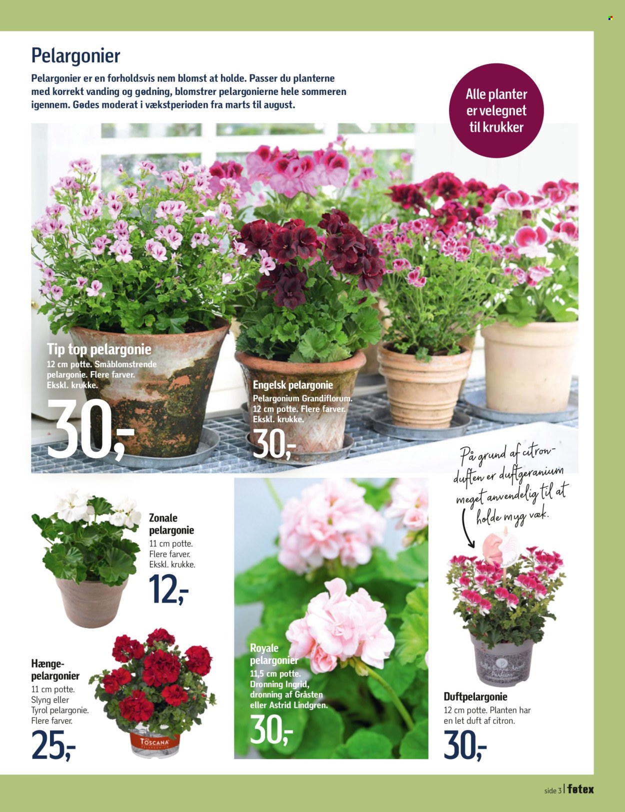 thumbnail - føtex tilbud  - 12.4.2024 - 16.5.2024 - tilbudsprodukter - potte, blomst, planter. Side 3.
