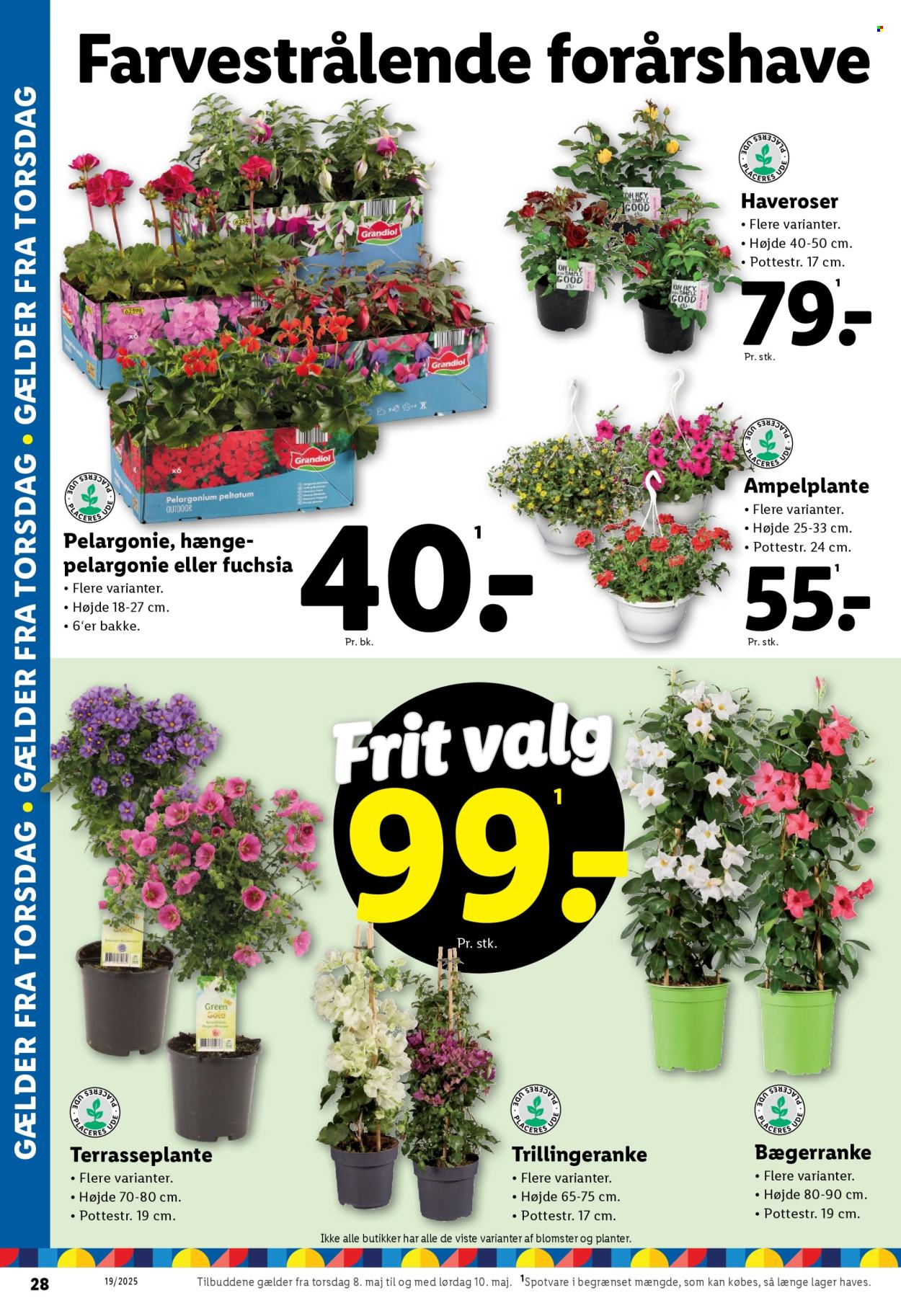 Lidl tilbud - 8.5.2025 - 10.5.2025. Side 1