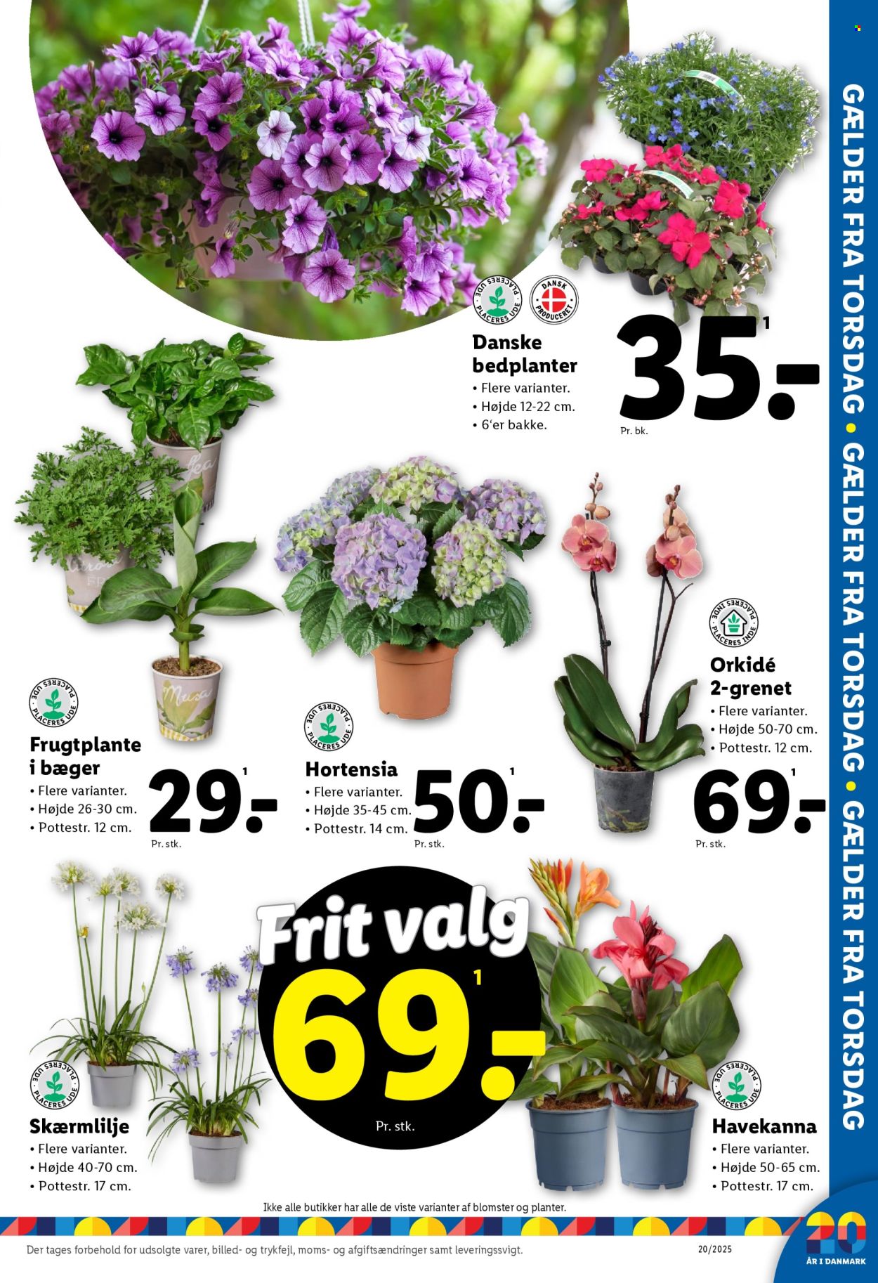 Lidl tilbud - 11.5.2025 - 17.5.2025. Side 1
