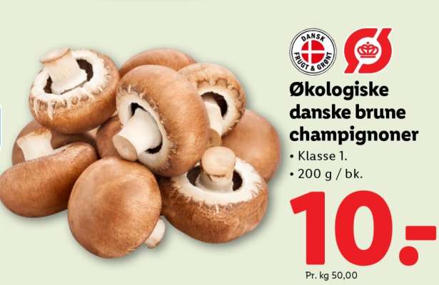 Økologiske danske brune champignoner