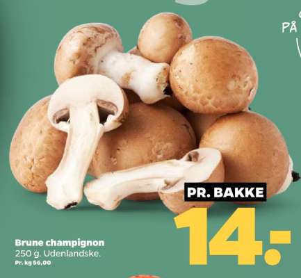 Brune champignon
