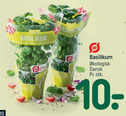 Basilikum