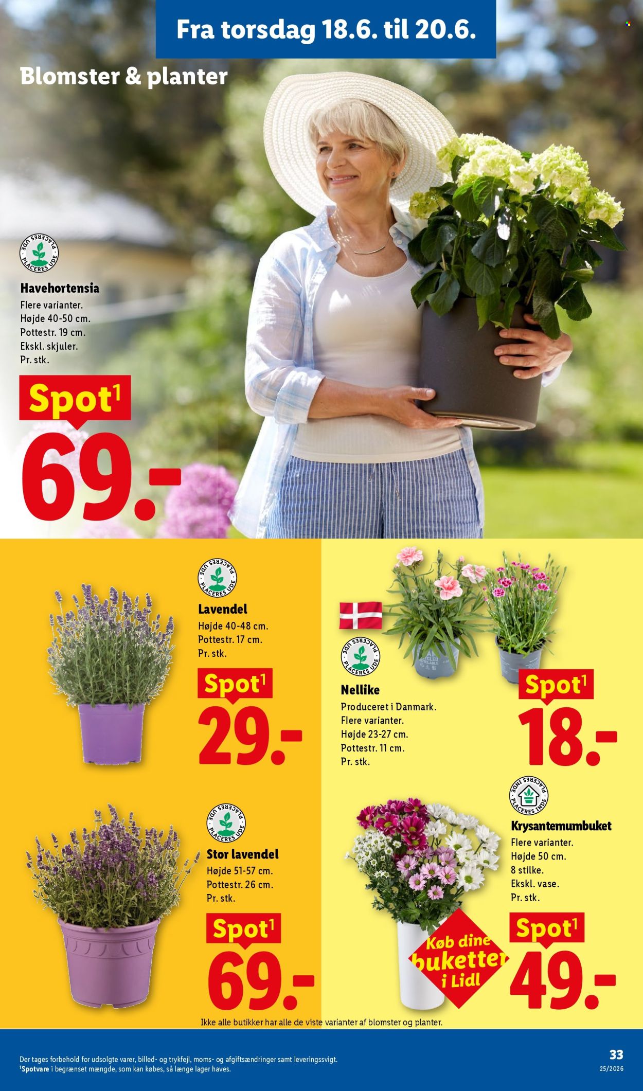 Lidl tilbud - 14.6.2026 - 20.6.2026. Side 34