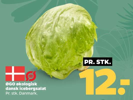 ØGO økologisk dansk icebergsalat