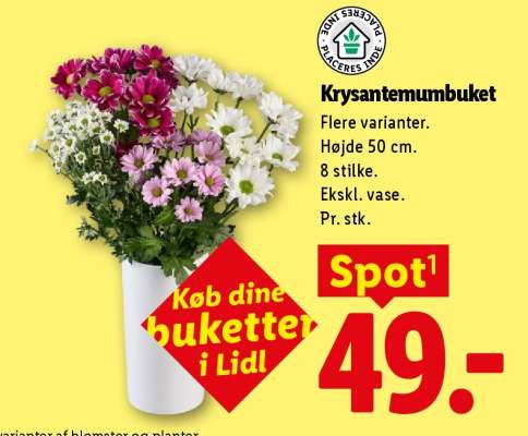 Krysantemumbuket