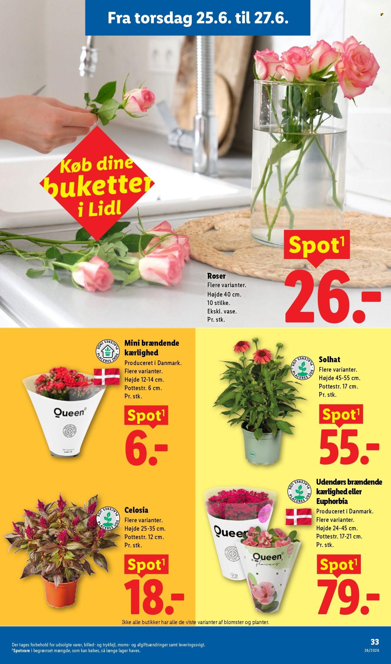 Lidl tilbud - 21.6.2026 - 27.6.2026. Side 17