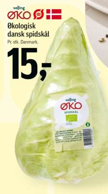 salling ØKO spidskål