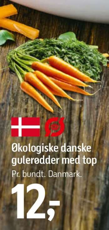 Økologiske danske gulerødder med top