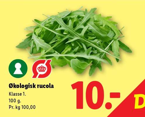 Økologisk rucola