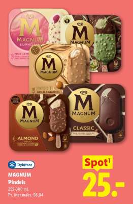 MAGNUM Pindeis