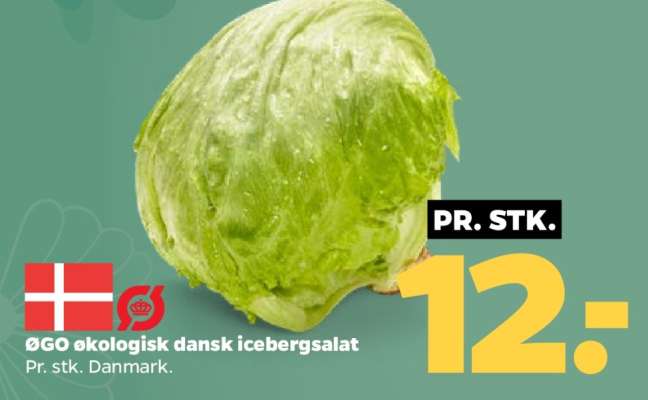 ØGO økologisk dansk icebergsalat