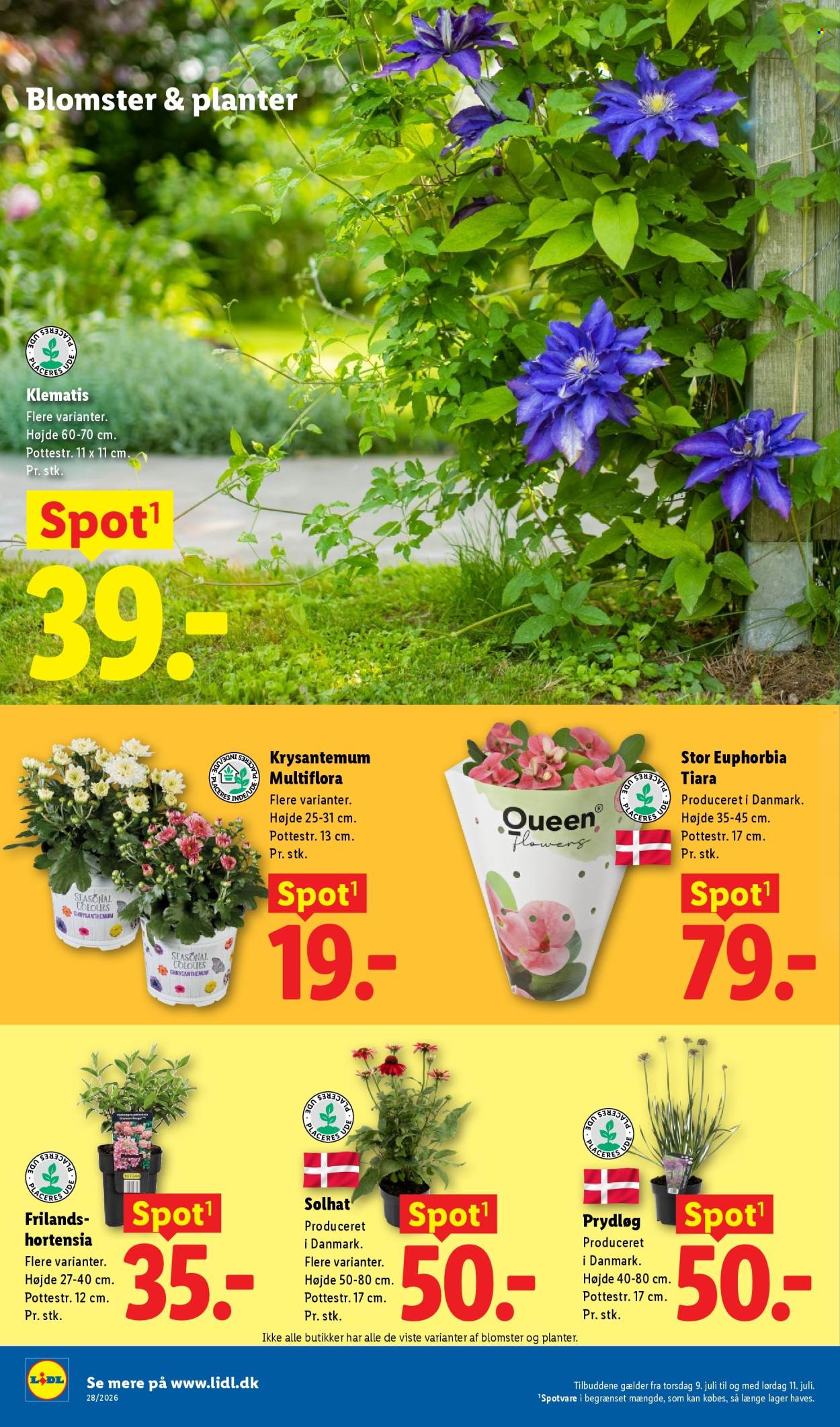 Lidl tilbud - 9.7.2026 - 11.7.2026. Side 7