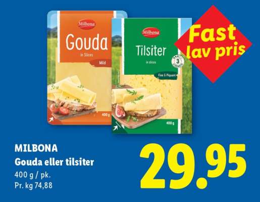 MILBONA Gouda eller tilsiter