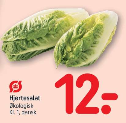 Hjertesalat