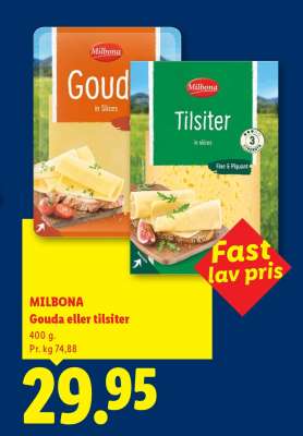 MILBONA Gouda eller tilsiter