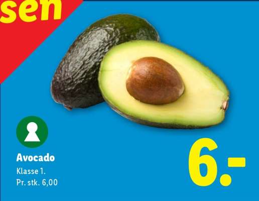 Avocado