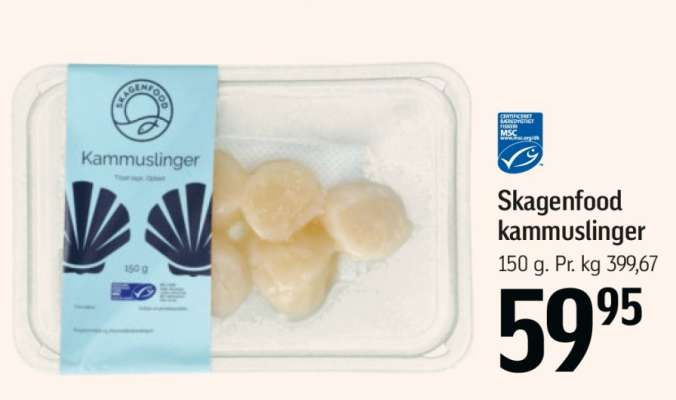 Skagenfood kammuslinger