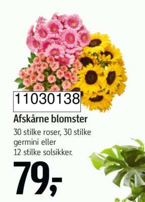 Afskårne blomster