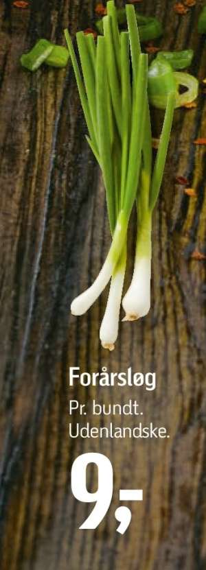 Forårsløg