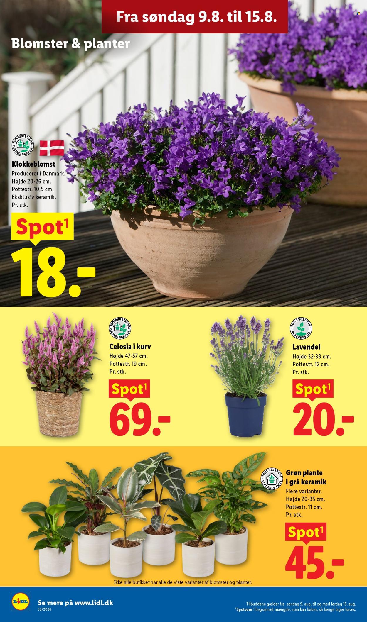 Lidl tilbud - 9.8.2026 - 15.8.2026. Side 33