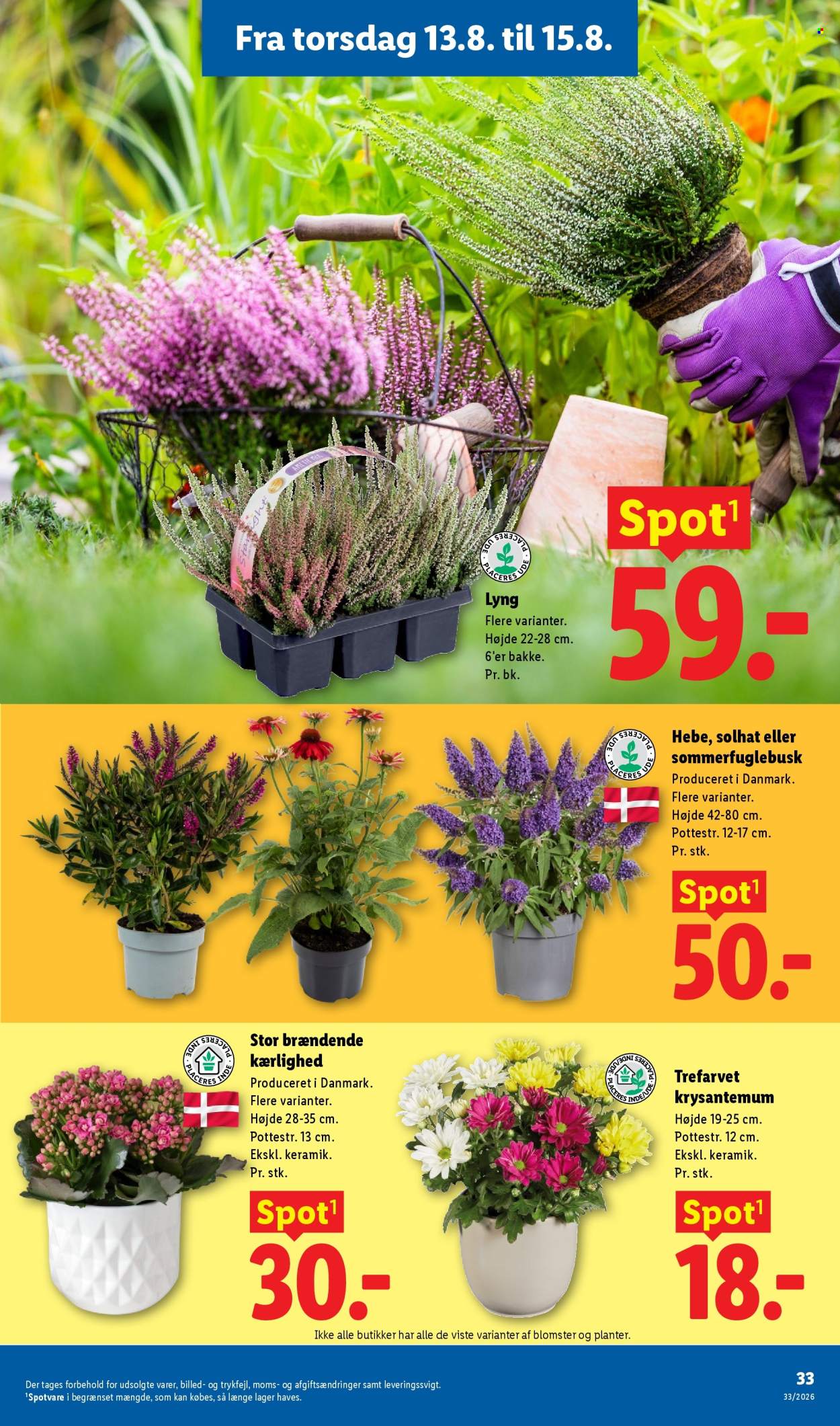 Lidl tilbud - 9.8.2026 - 15.8.2026. Side 34