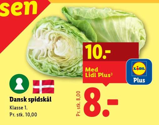 Dansk spidskål