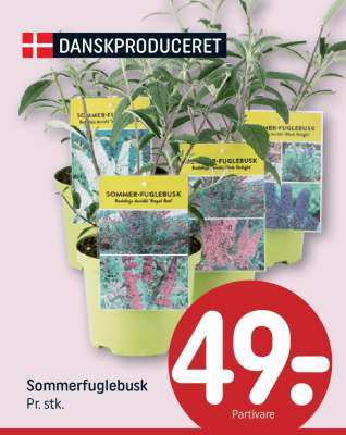 Sommerfuglebusk
