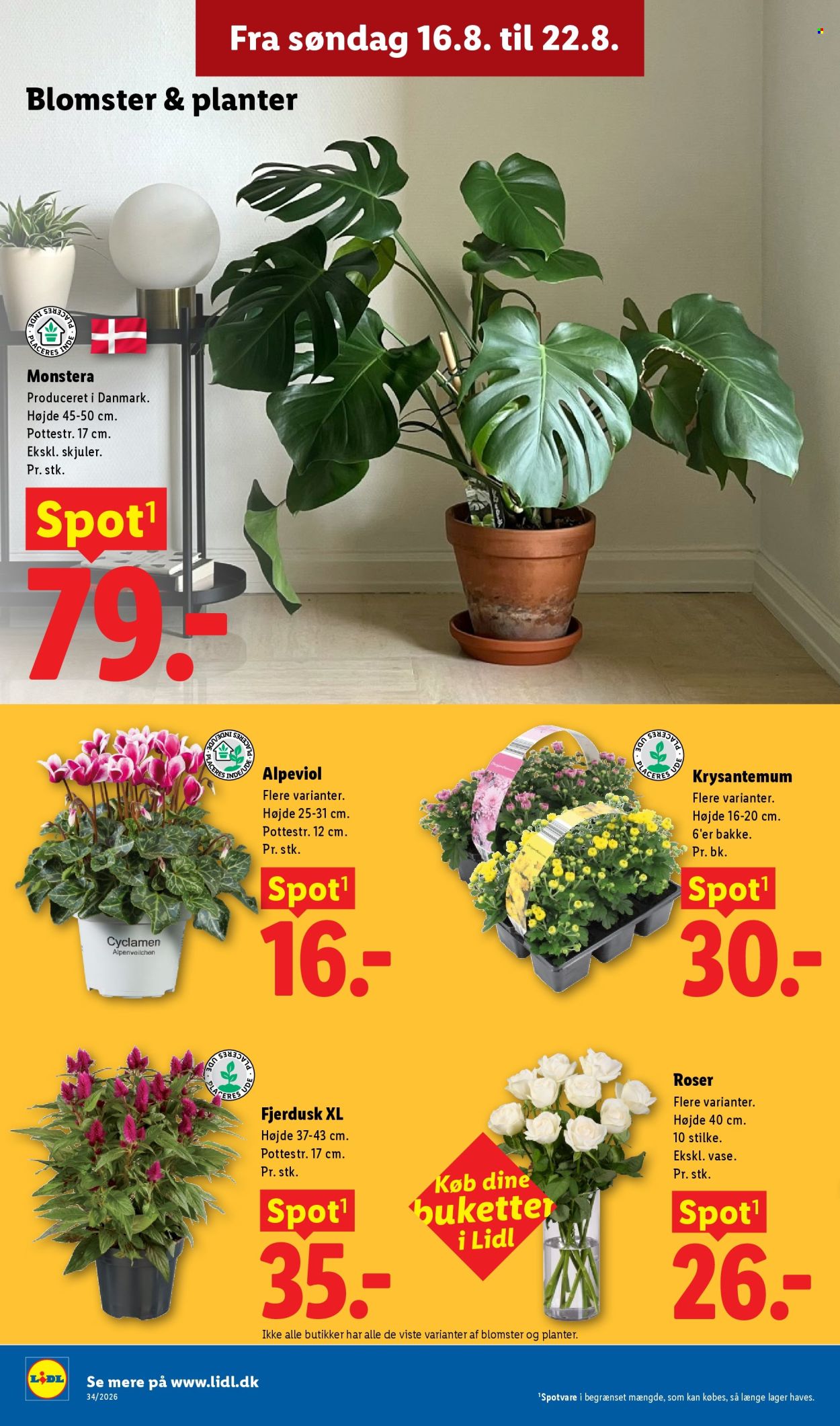 Lidl tilbud - 16.8.2026 - 22.8.2026. Side 33