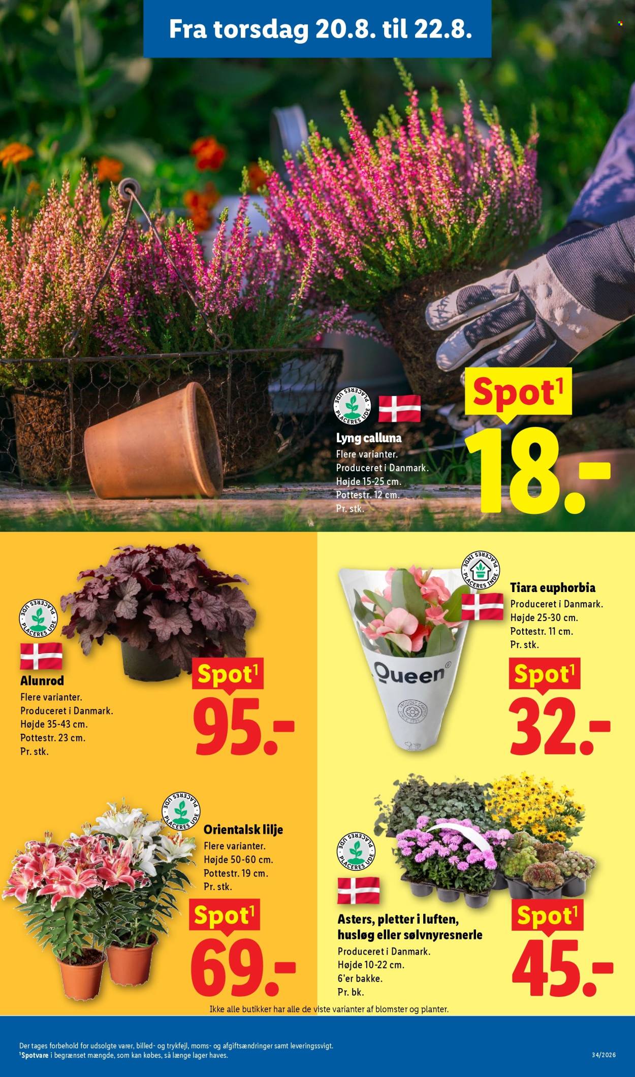 Lidl tilbud - 16.8.2026 - 22.8.2026. Side 34