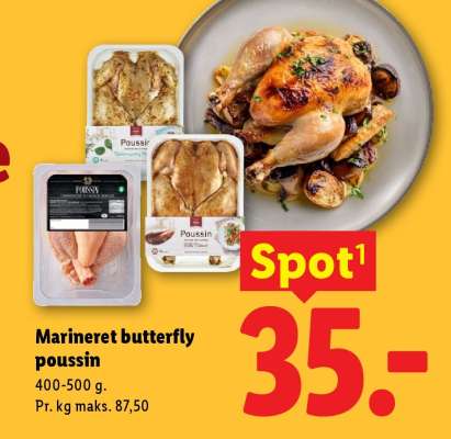 Marineret butterfly poussin