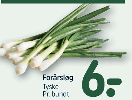 Forårsløg