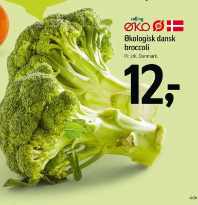 Økologisk dansk broccoli