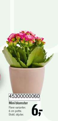 Mini blomster