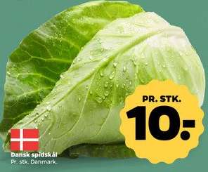 Dansk spidskål