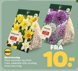 Blomsterløg