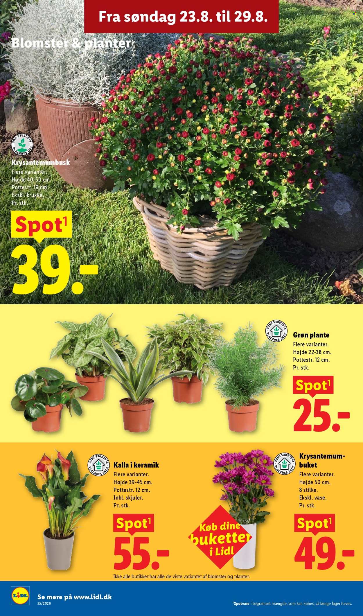 Lidl tilbud - 23.8.2026 - 29.8.2026. Side 36
