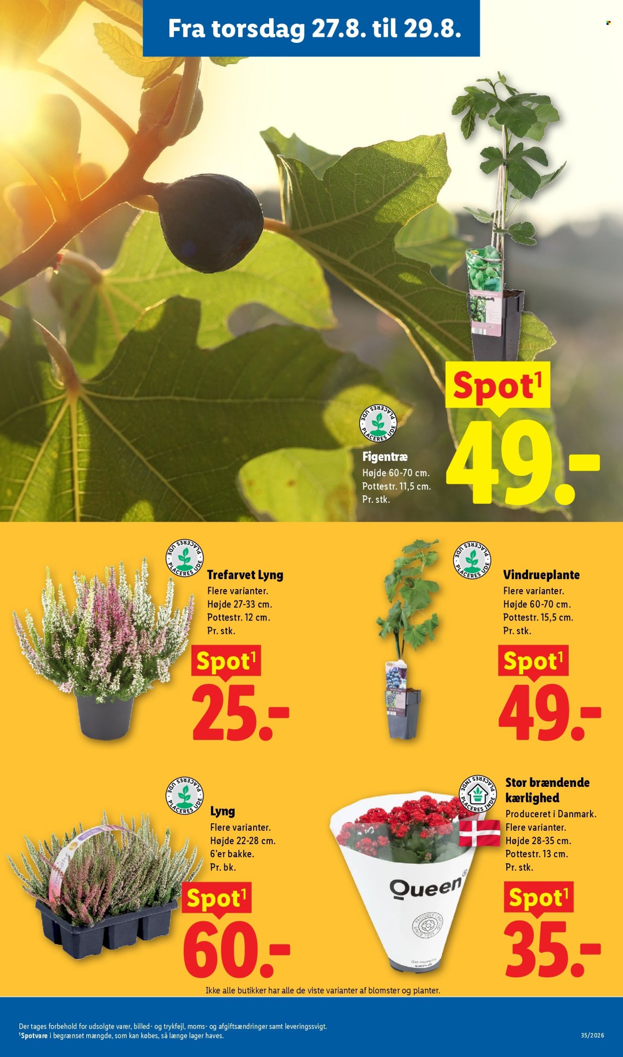 Lidl tilbud - 23.8.2026 - 29.8.2026. Side 37