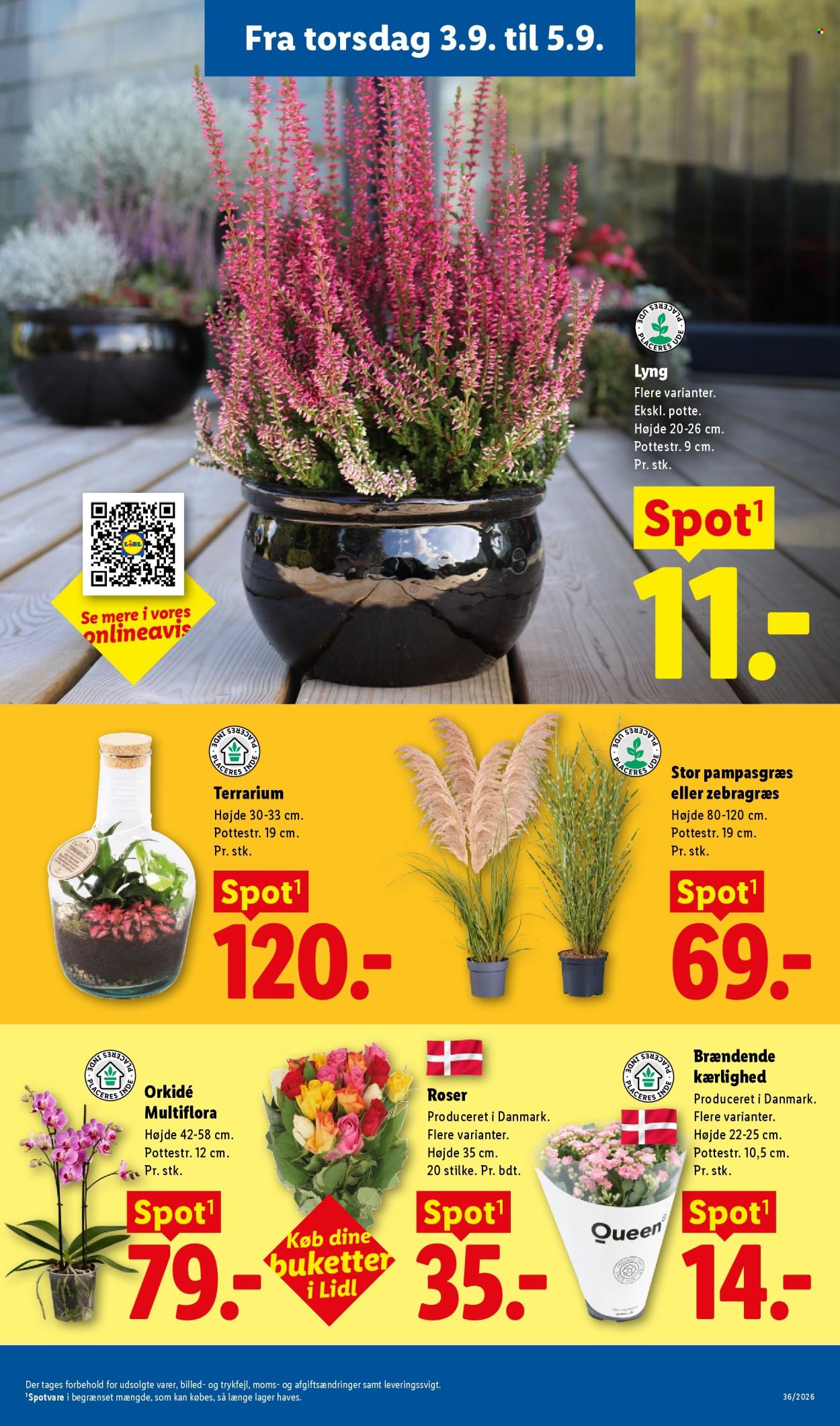 Lidl tilbud - 30.8.2026 - 5.9.2026. Side 33