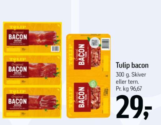 Tulip bacon