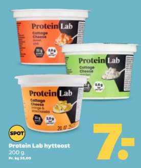 Protein Lab hytteost
