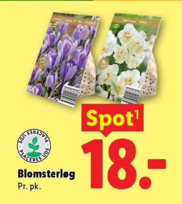 Blomsterløg