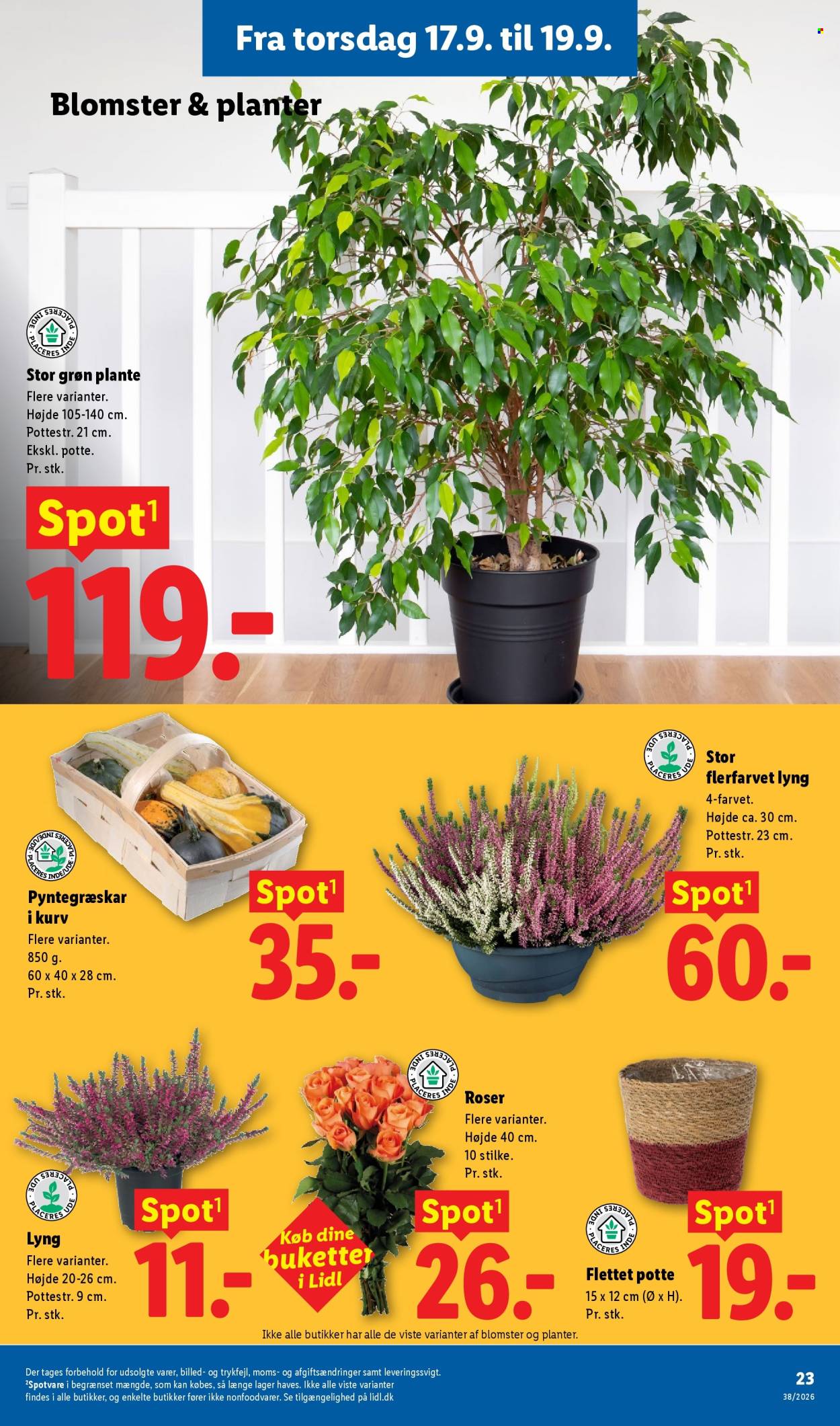 Lidl tilbud - 13.9.2026 - 19.9.2026. Side 11