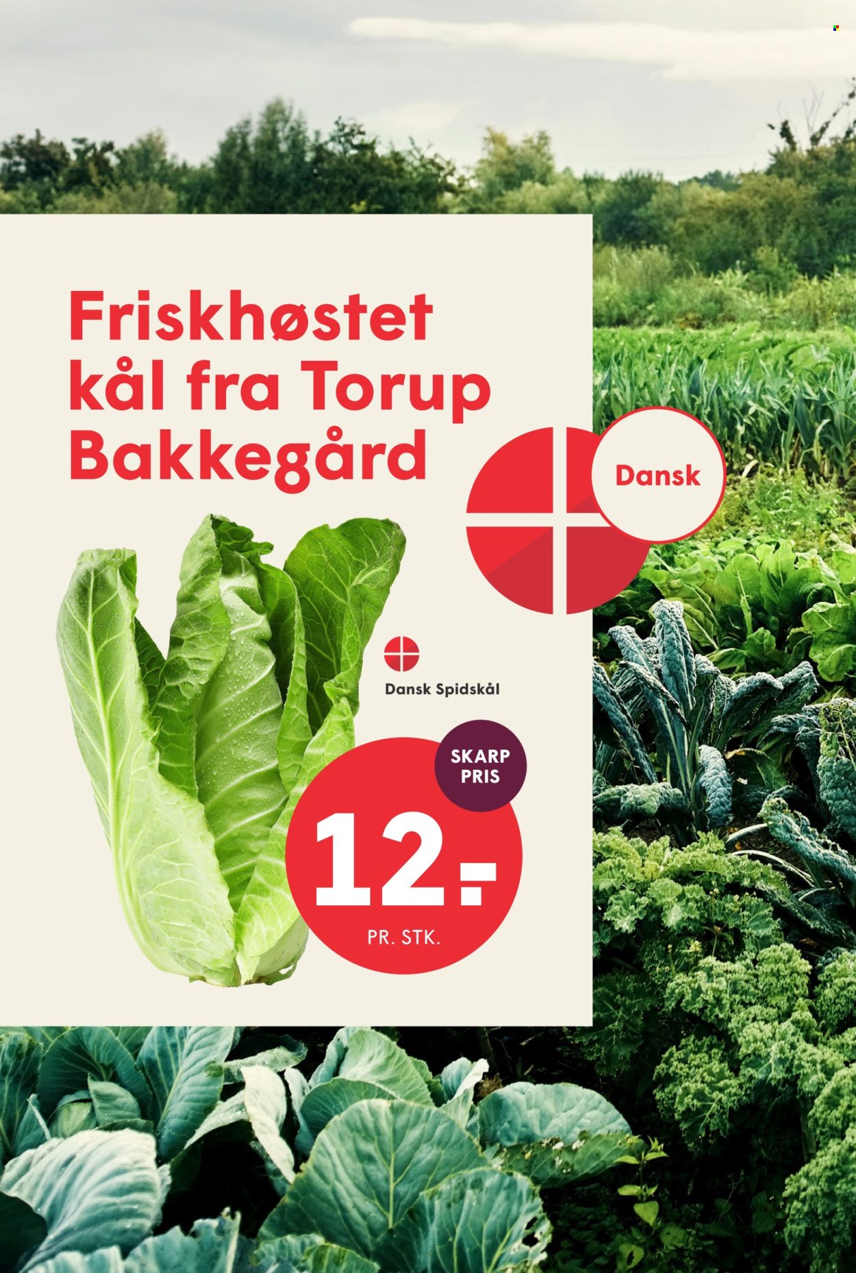 SPAR tilbud - 11.9.2026 - 17.9.2026. Side 10