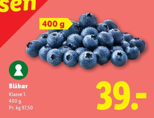 Blåbær