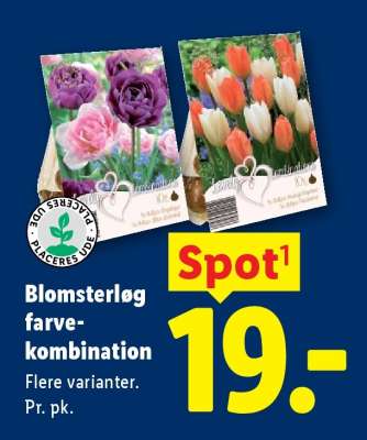 Blomsterløg farvekombination