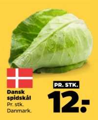 Dansk spidskål
