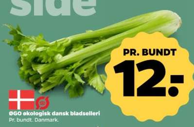 ØGO ekologisk dansk bladselleri