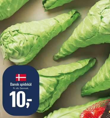 Dansk spidskål