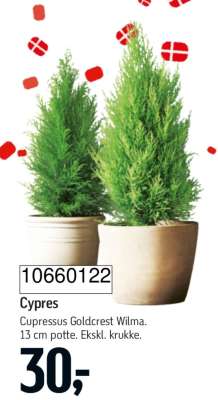 Cypres